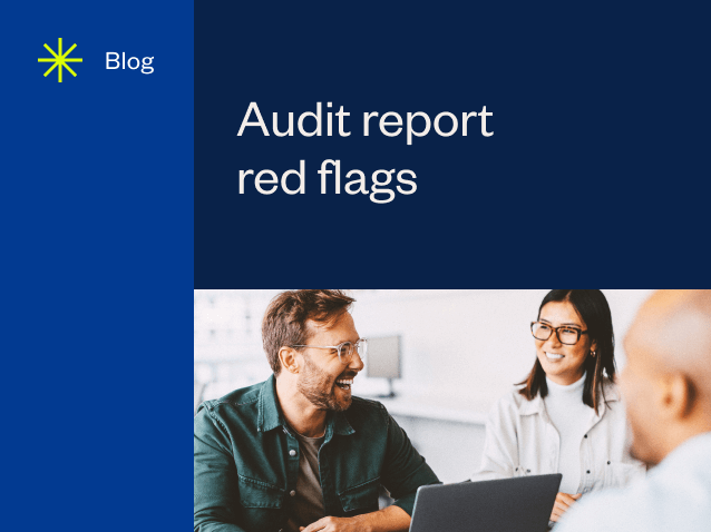 resource feature Audit report red flags 1 1