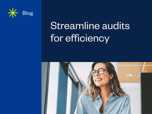 resource feature Streamline Audits for Efficiency 1 0