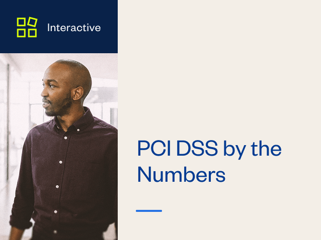 resource PCI DSS by the Numbers 1 0